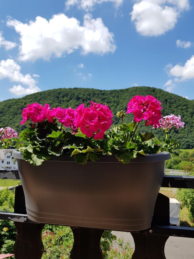 Weingut Erich Serwazi Mesenich Exteriör bild